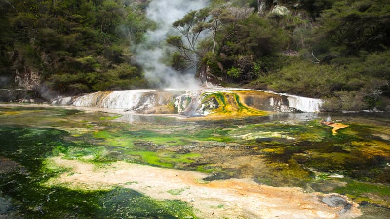 Explore the raw beauty of the world's youngest geothermal site on a self-guided, ecology-focused adventure among the craters of the spectacular Waimangu Volcanic Valley.